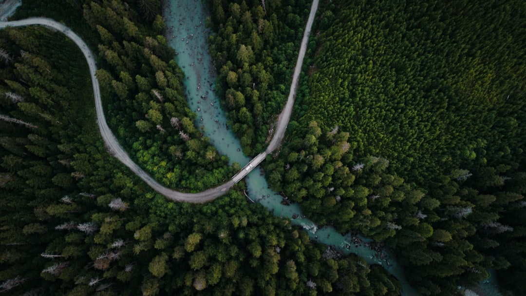 The Rise of Eco-Friendly Travel: How to Explore the World Sustainably